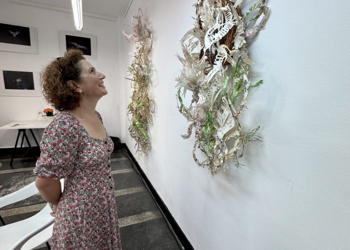Janne Tagg installation about the regeneration of Danube Delta Romania