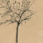 Copac_Tree_Înrămată_Framed_EUR300.00