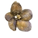 Floare Presata_Pressed Flower_Înrămată_Framed_EUR400.00