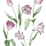 Lalele_Tulips_42x52 cm_framed_cu rama_EUR400.00