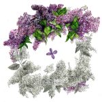 Liliac_Lilac_52x52 cm_framed_cu rama_EUR 700