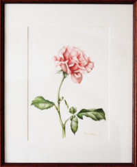 13_rose garden_pink_watercolor on paper, 45X35