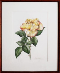 14_rose garden_yellow_watercolor on paper, 45X35