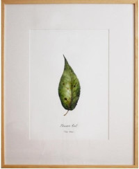 21_Forever Lost 03_leaf_Watercolor and ink on paper, framed, 63×51