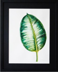 24_Canopy_Tropical_02_watercolor on paper, framed, 52×42