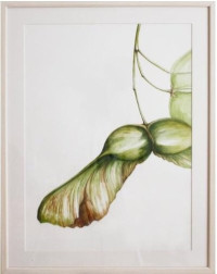 28_Wanderlust_Maple_02_watercolor